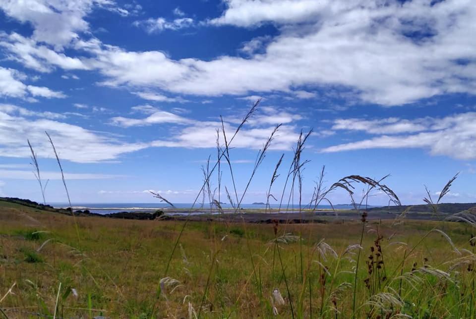 Seascape Peninsula Bach Villa ไคทายา ภายนอก รูปภาพ